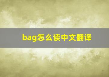 bag怎么读中文翻译