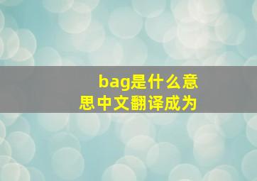 bag是什么意思中文翻译成为