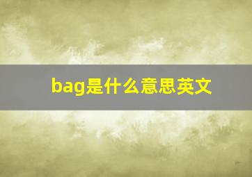 bag是什么意思英文