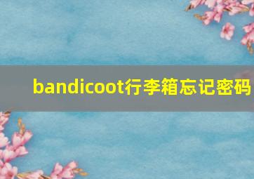 bandicoot行李箱忘记密码