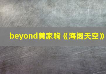 beyond黄家驹《海阔天空》