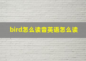 bird怎么读音英语怎么读