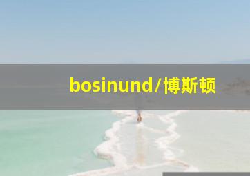 bosinund/博斯顿