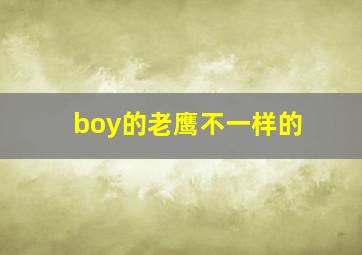 boy的老鹰不一样的