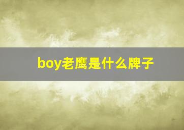 boy老鹰是什么牌子