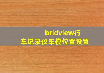 bridview行车记录仪车模位置设置