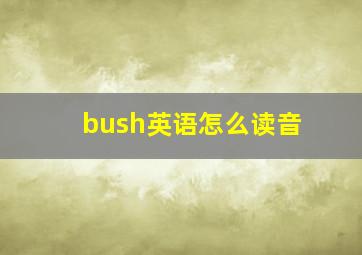 bush英语怎么读音