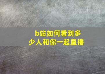 b站如何看到多少人和你一起直播