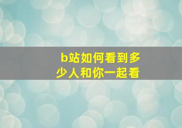 b站如何看到多少人和你一起看