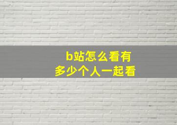 b站怎么看有多少个人一起看