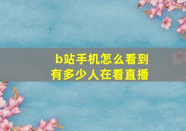 b站手机怎么看到有多少人在看直播