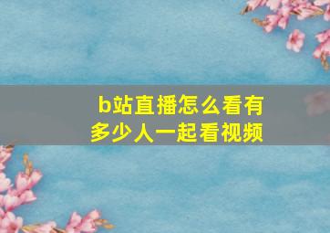 b站直播怎么看有多少人一起看视频