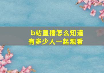 b站直播怎么知道有多少人一起观看