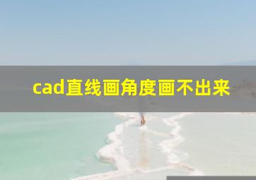 cad直线画角度画不出来