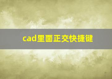 cad里面正交快捷键