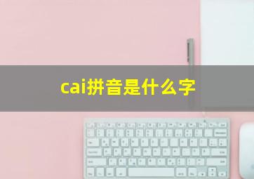 cai拼音是什么字