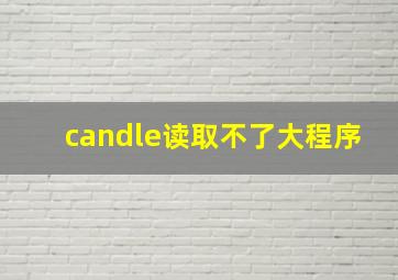 candle读取不了大程序