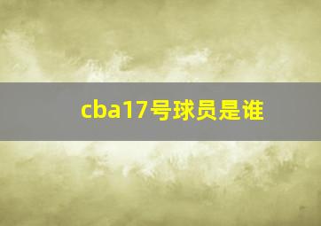 cba17号球员是谁