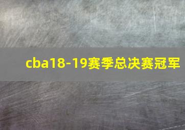 cba18-19赛季总决赛冠军