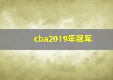 cba2019年冠军