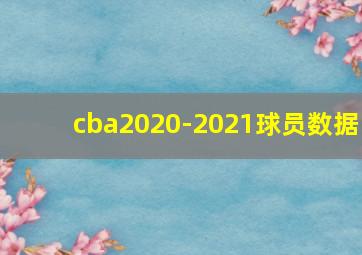 cba2020-2021球员数据