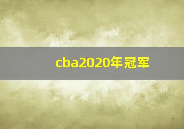 cba2020年冠军