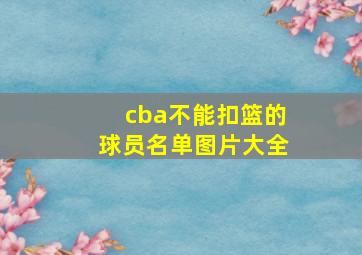 cba不能扣篮的球员名单图片大全