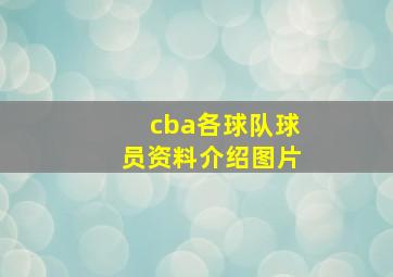 cba各球队球员资料介绍图片