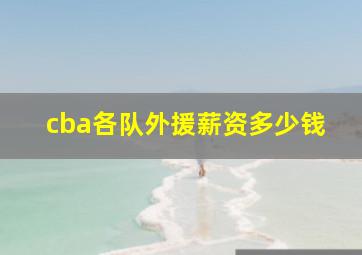 cba各队外援薪资多少钱