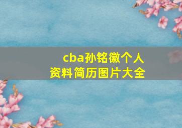 cba孙铭徽个人资料简历图片大全