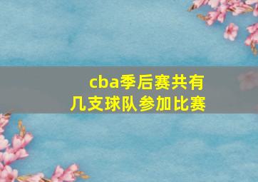 cba季后赛共有几支球队参加比赛