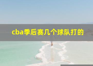 cba季后赛几个球队打的