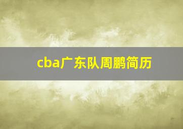 cba广东队周鹏简历