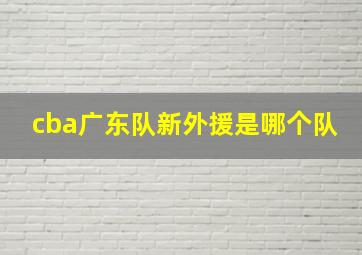 cba广东队新外援是哪个队