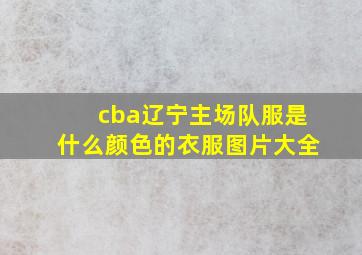 cba辽宁主场队服是什么颜色的衣服图片大全