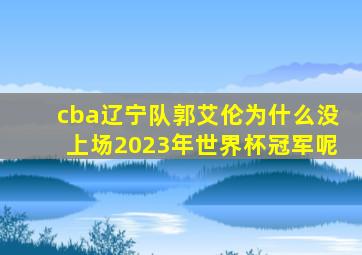 cba辽宁队郭艾伦为什么没上场2023年世界杯冠军呢