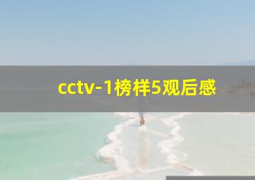 cctv-1榜样5观后感