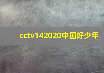 cctv142020中国好少年