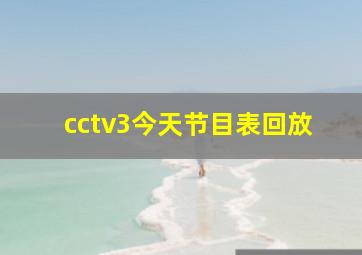 cctv3今天节目表回放