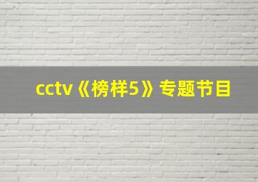 cctv《榜样5》专题节目