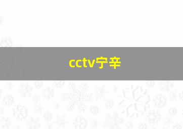 cctv宁辛