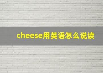 cheese用英语怎么说读