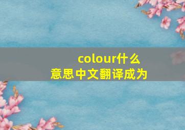 colour什么意思中文翻译成为