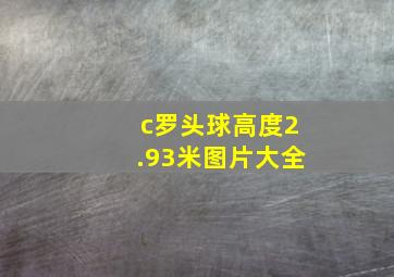 c罗头球高度2.93米图片大全