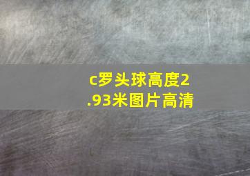 c罗头球高度2.93米图片高清