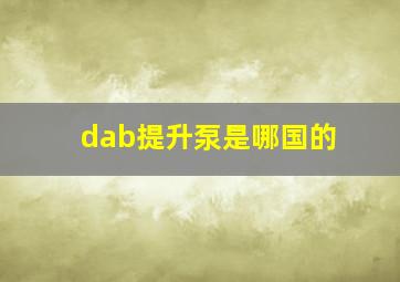 dab提升泵是哪国的