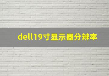 dell19寸显示器分辨率