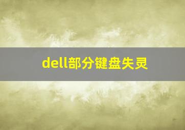 dell部分键盘失灵