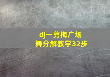 dj一剪梅广场舞分解教学32步