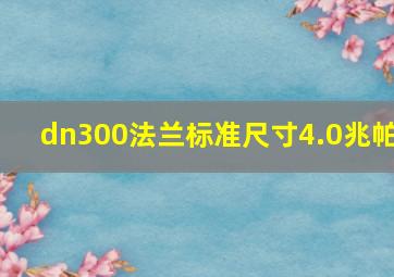 dn300法兰标准尺寸4.0兆帕